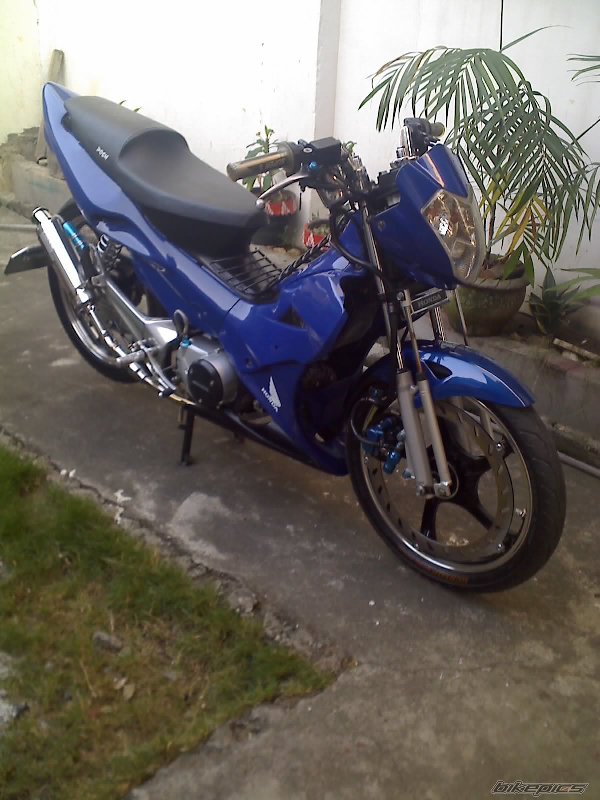 Photo 1181843