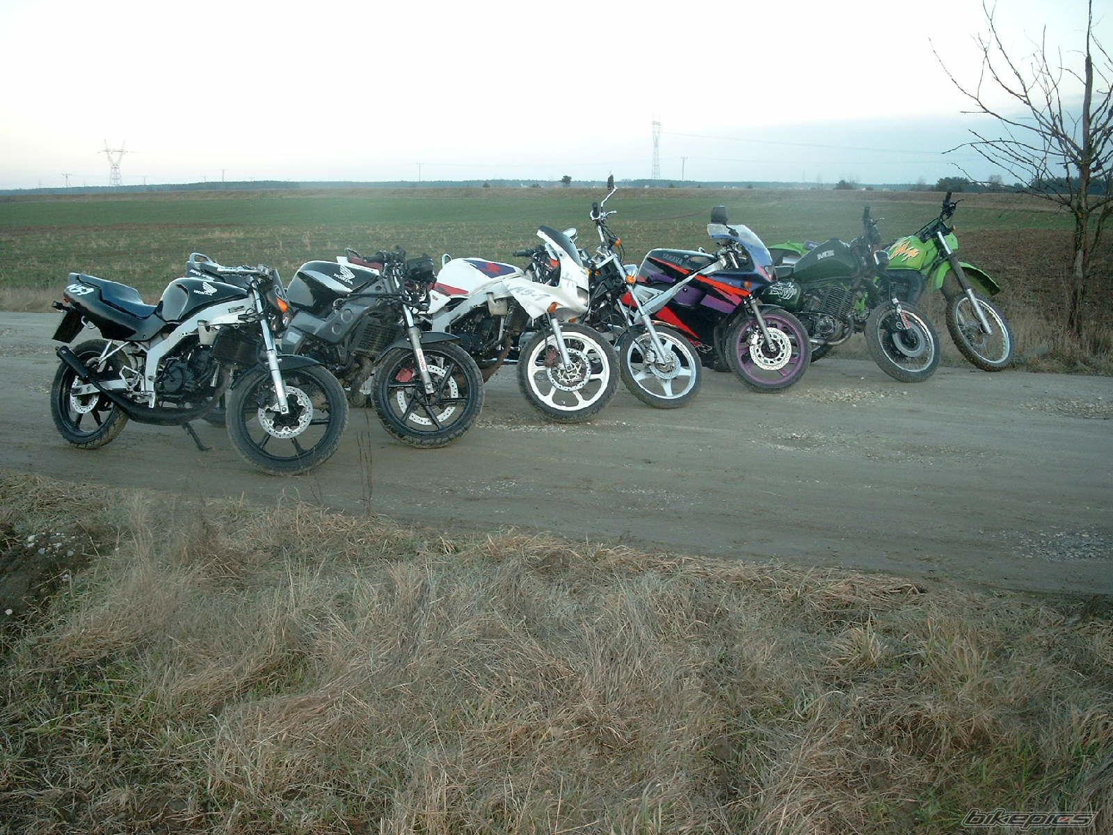 Photo 1182041
