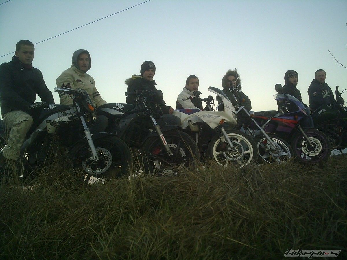 Photo 1182046