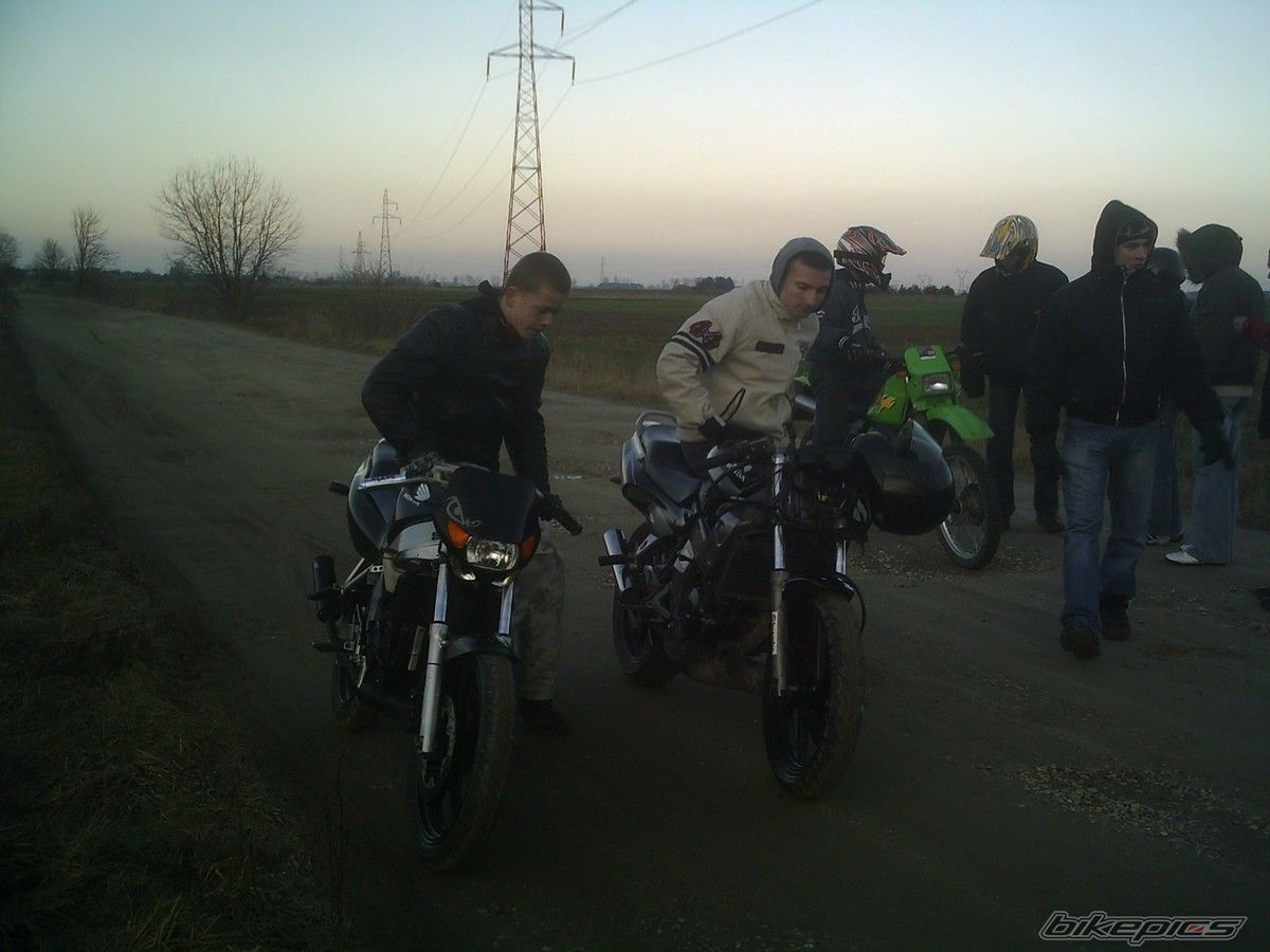 Photo 1182052