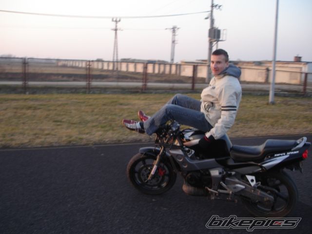 Photo 1182066