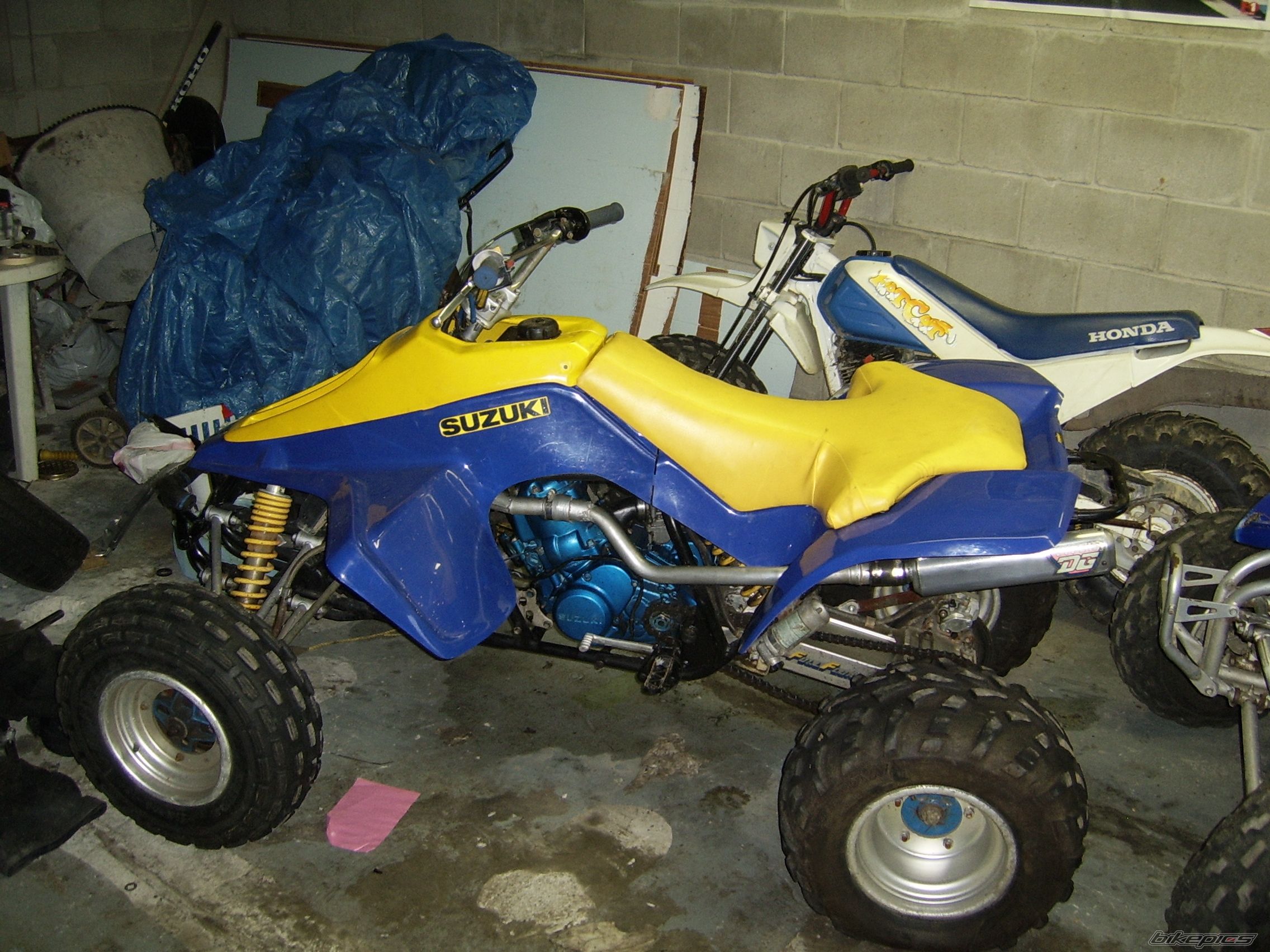 Photo 1182269