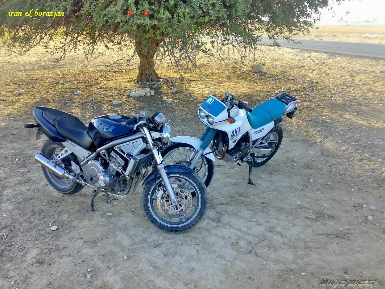 Photo 1182271