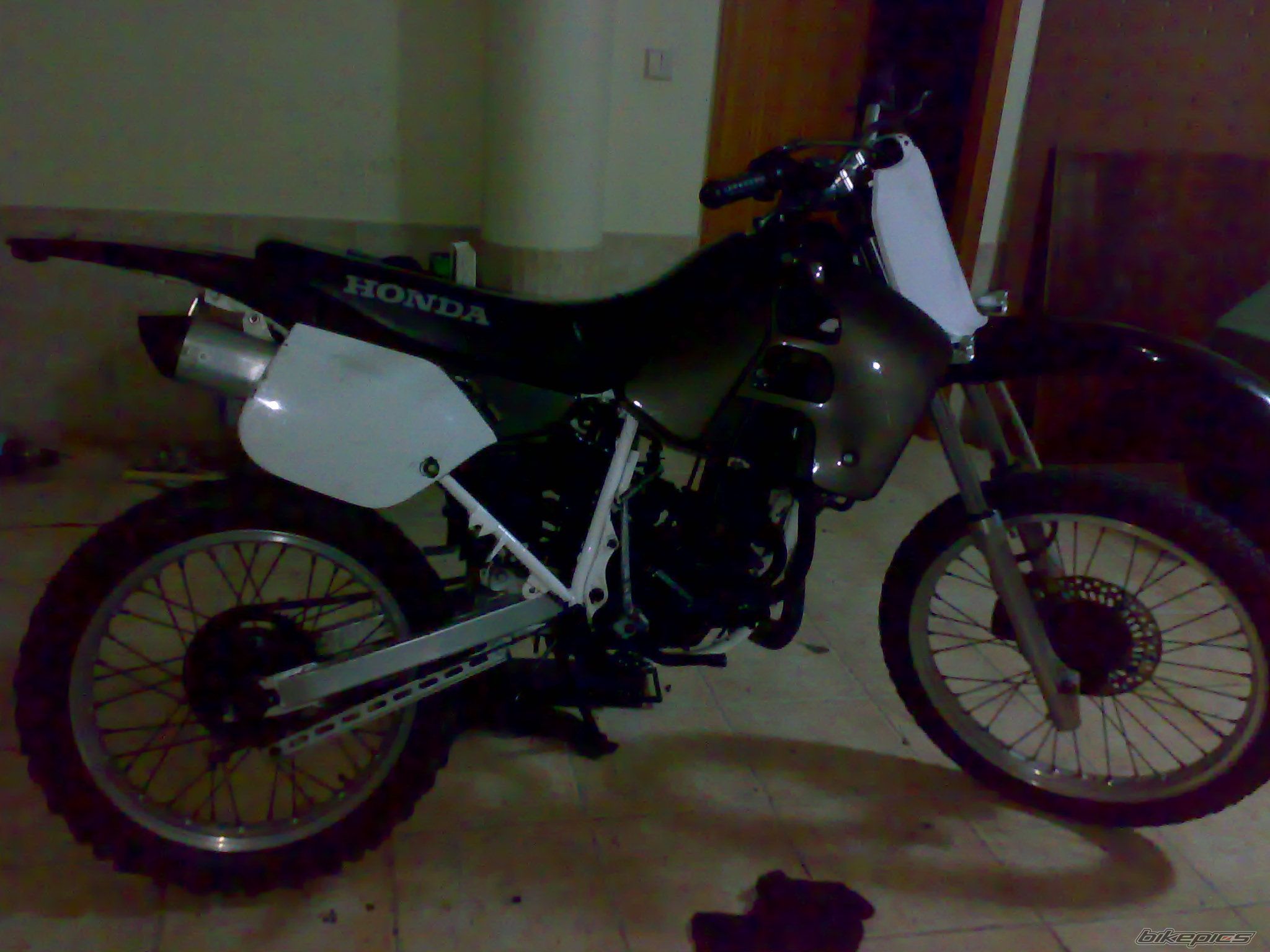 Photo 1182474
