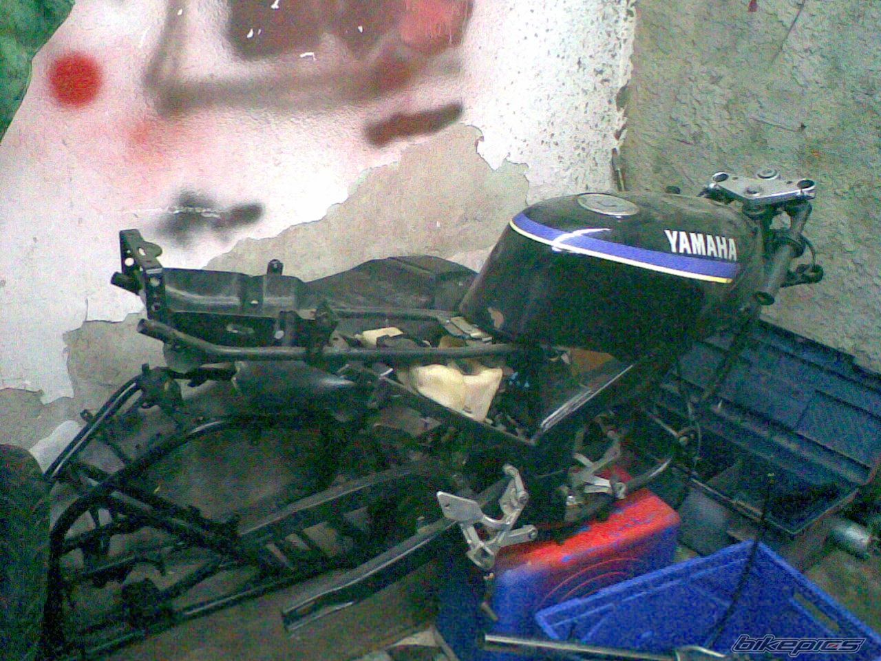 Bike Photo 1182533