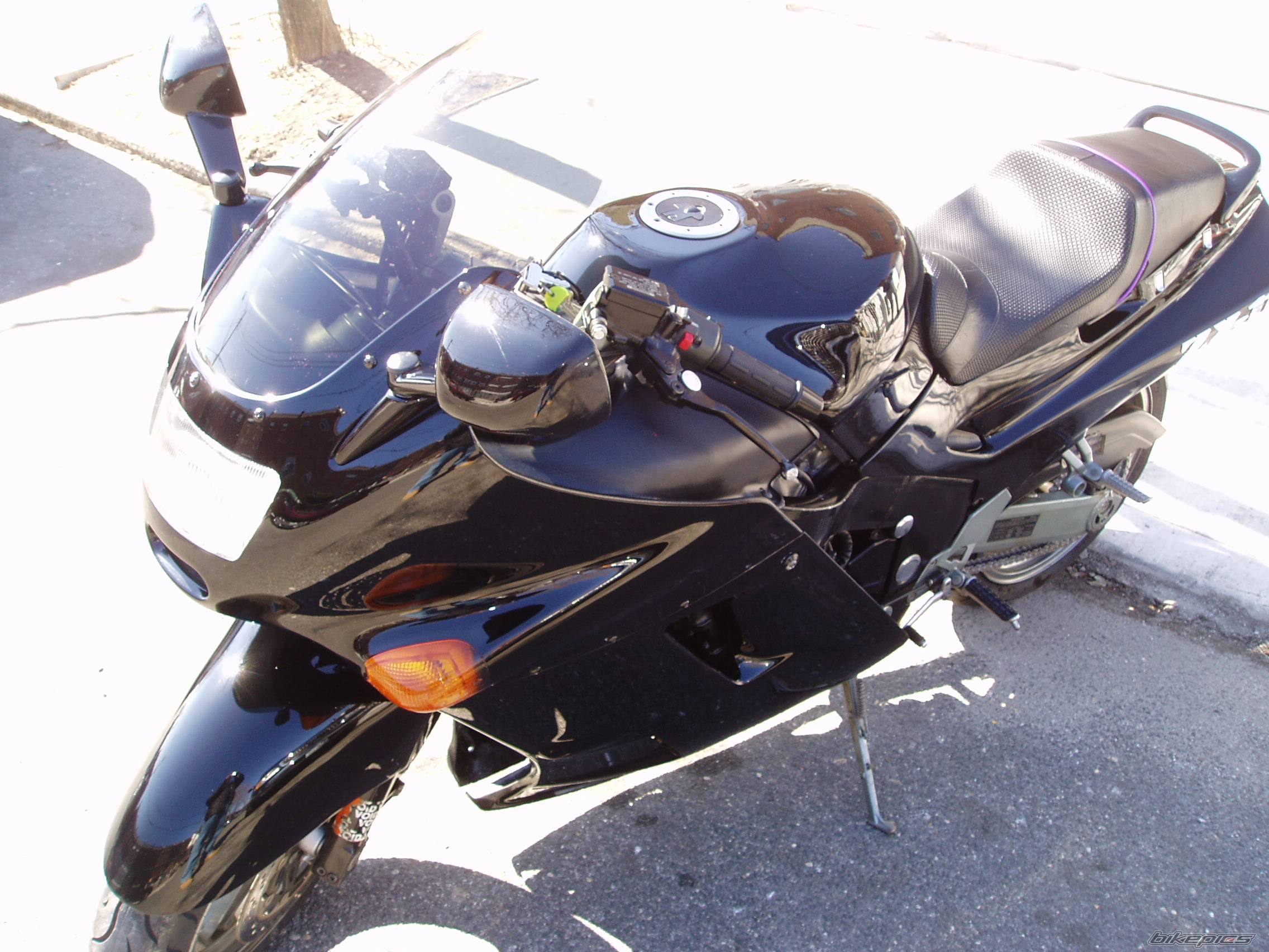 Photo 118271