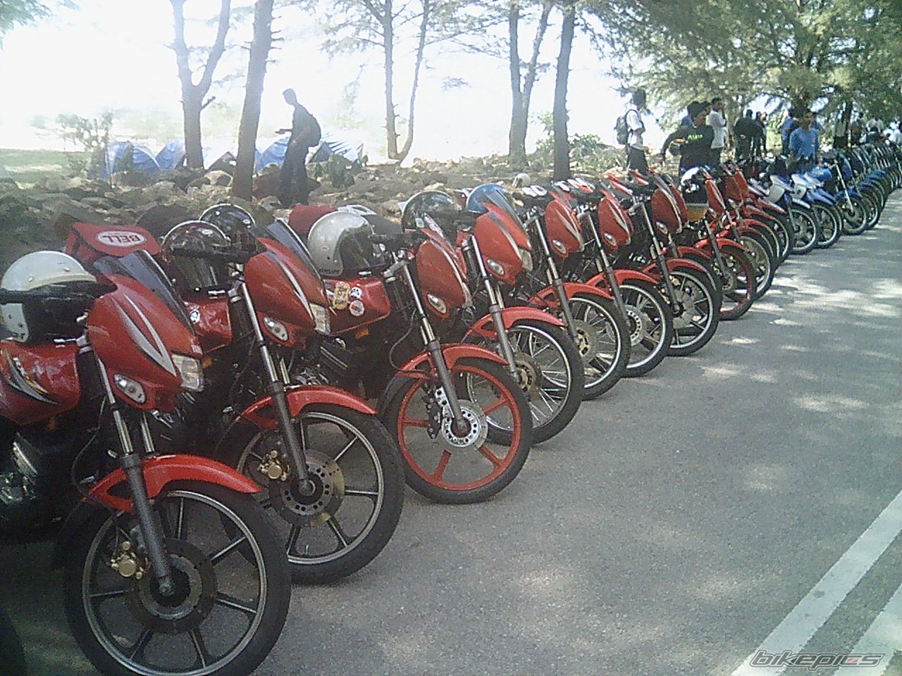 Photo 1182822