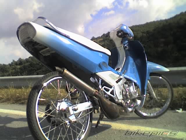 Photo 1183024