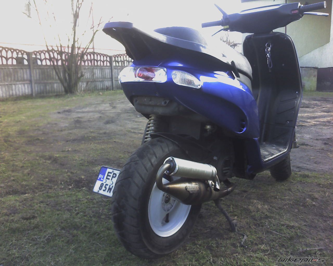 Photo 1183089