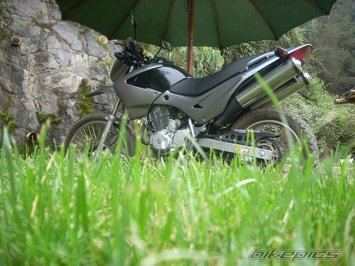 Photo 1183117