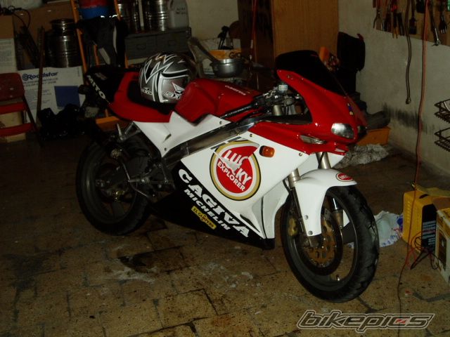 Photo 1183135