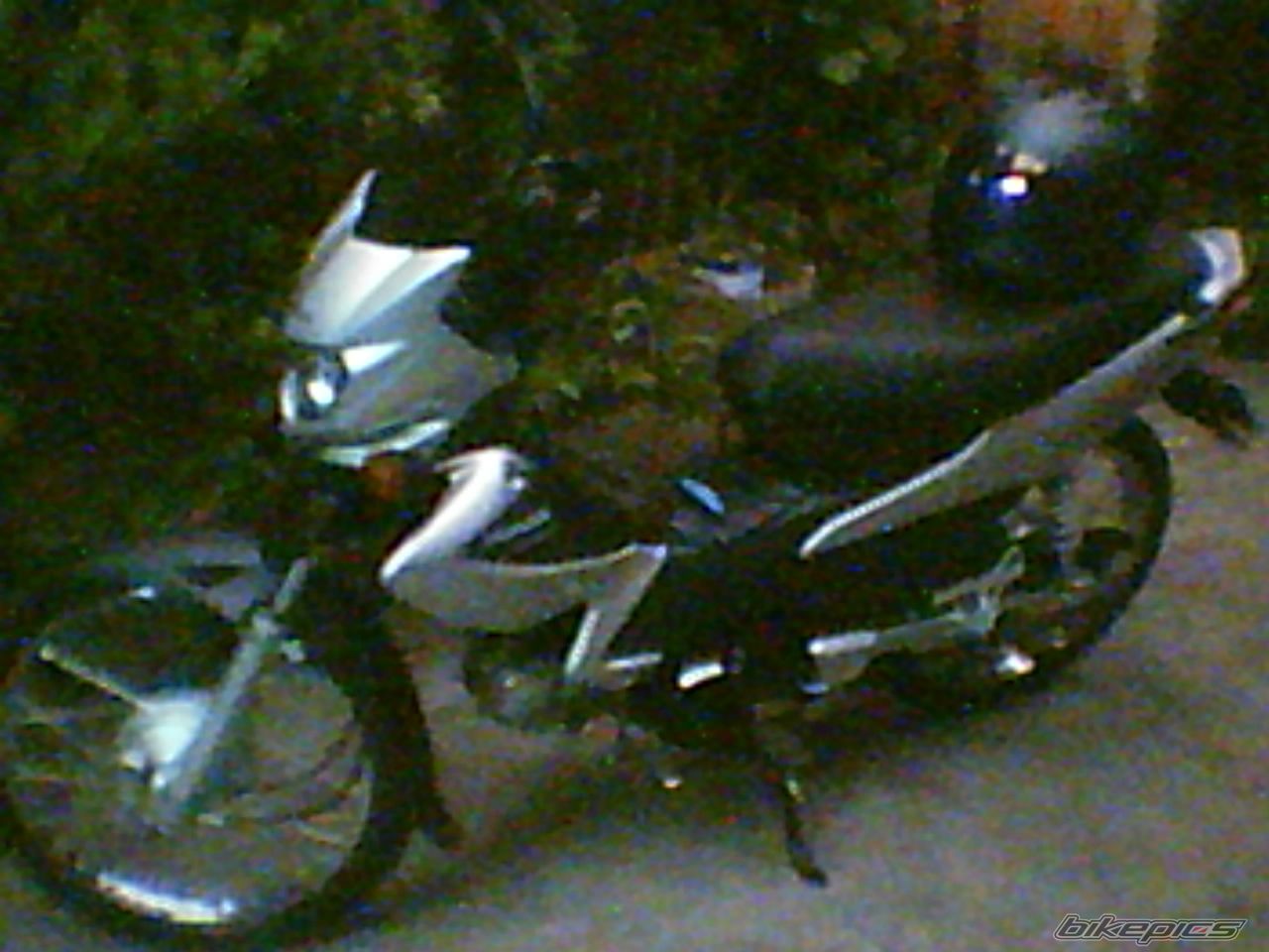 Photo 1183357