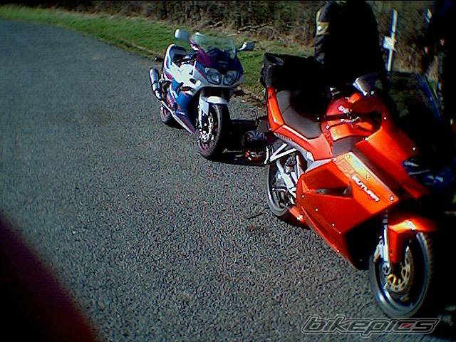 Photo 118356