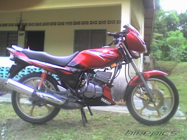 Photo 1183772