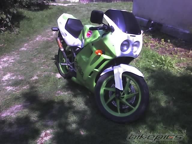 Photo 1183795