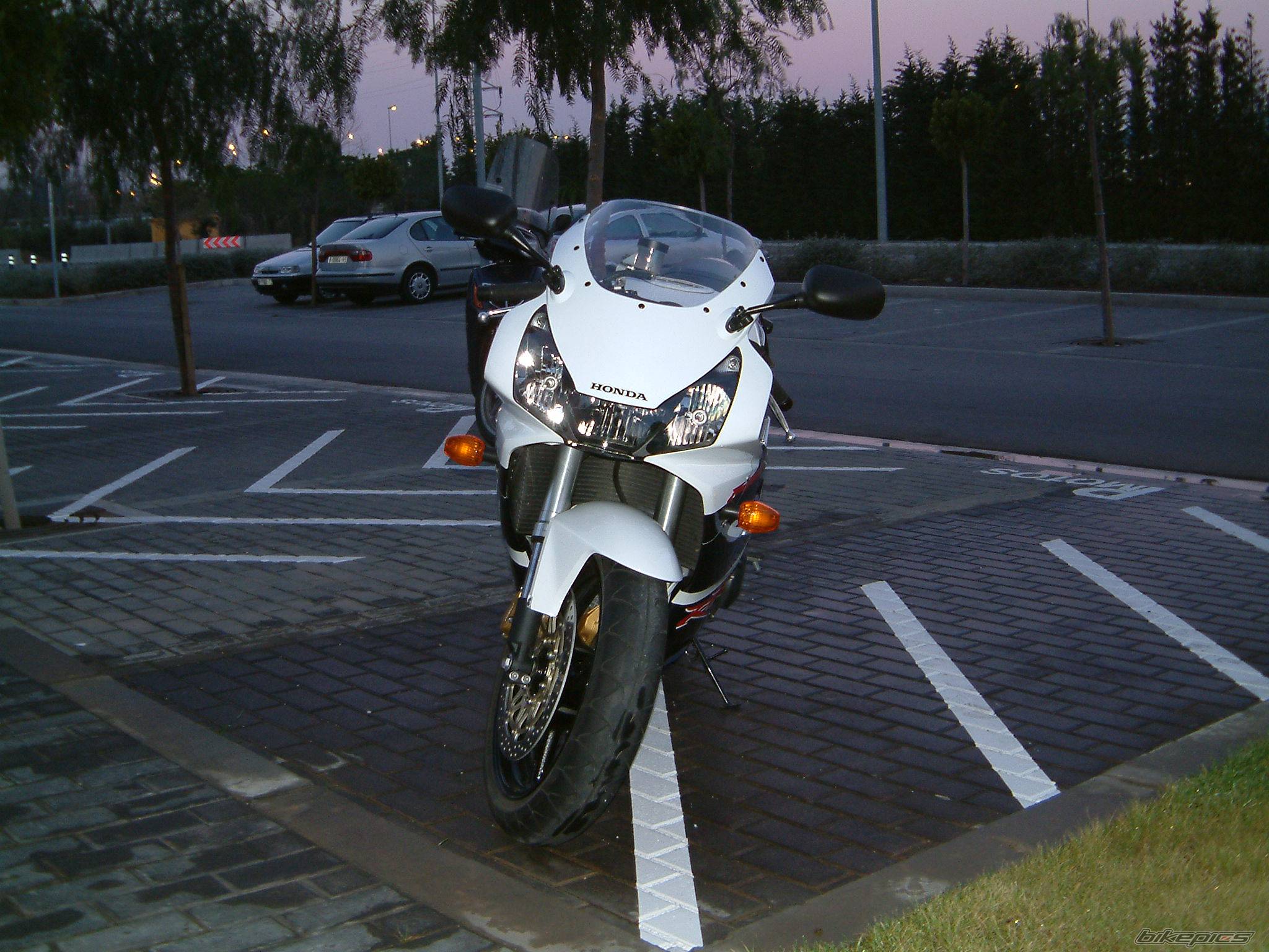 Photo 118384