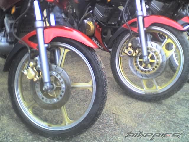 Photo 1183868