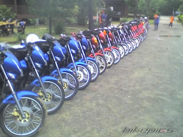 Photo 1183897