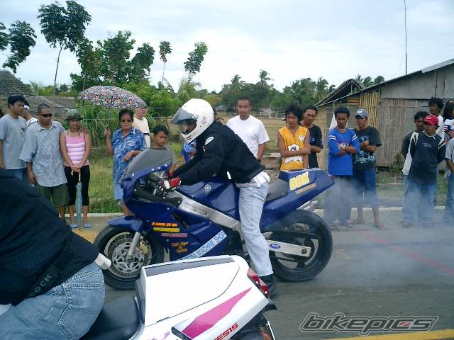 Photo 118393