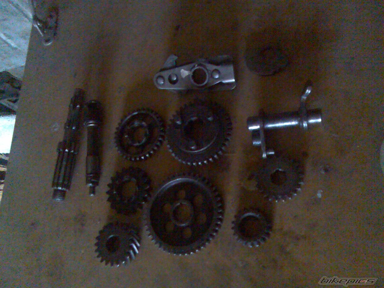Photo 1183975