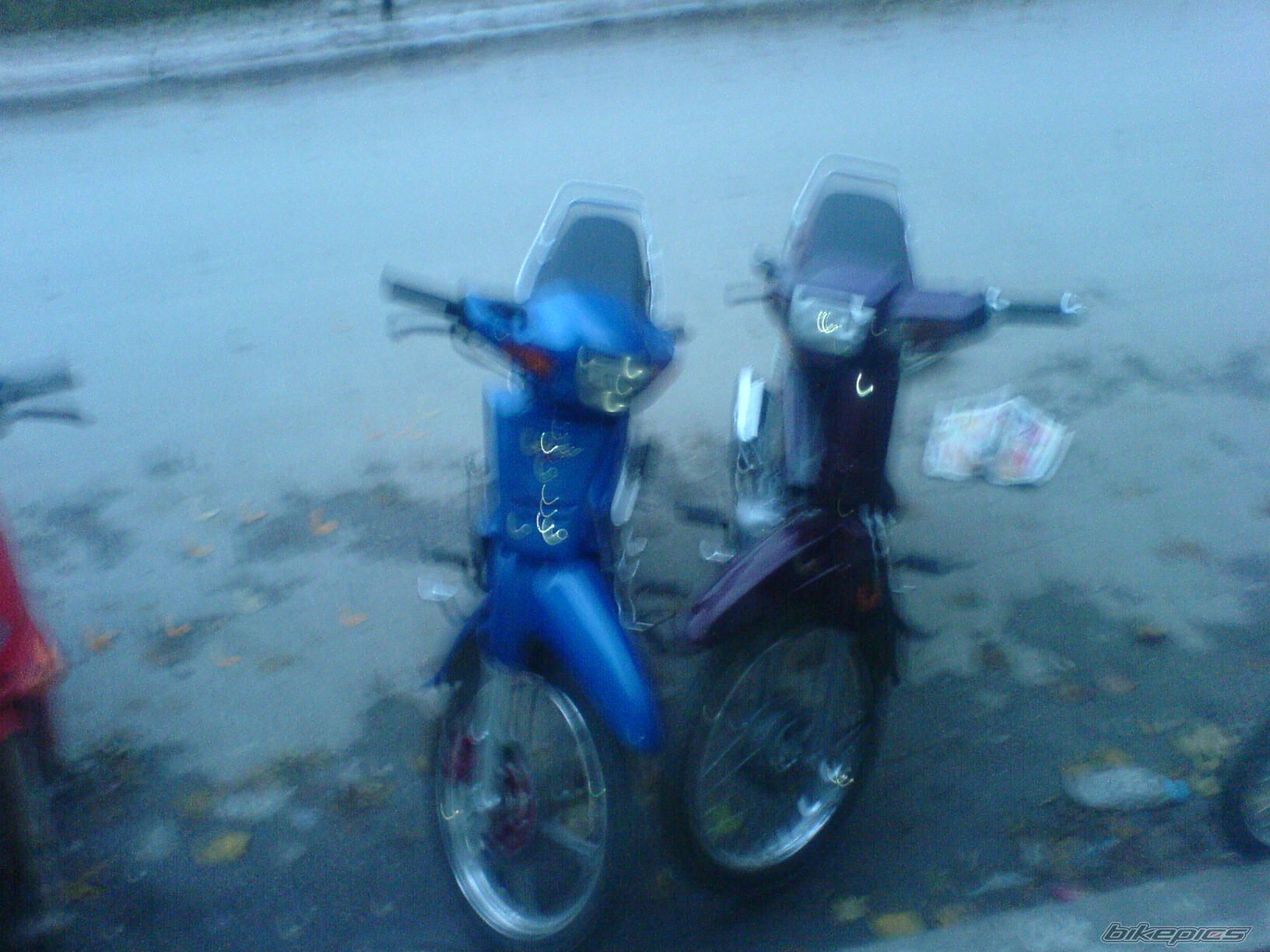 Photo 1184044