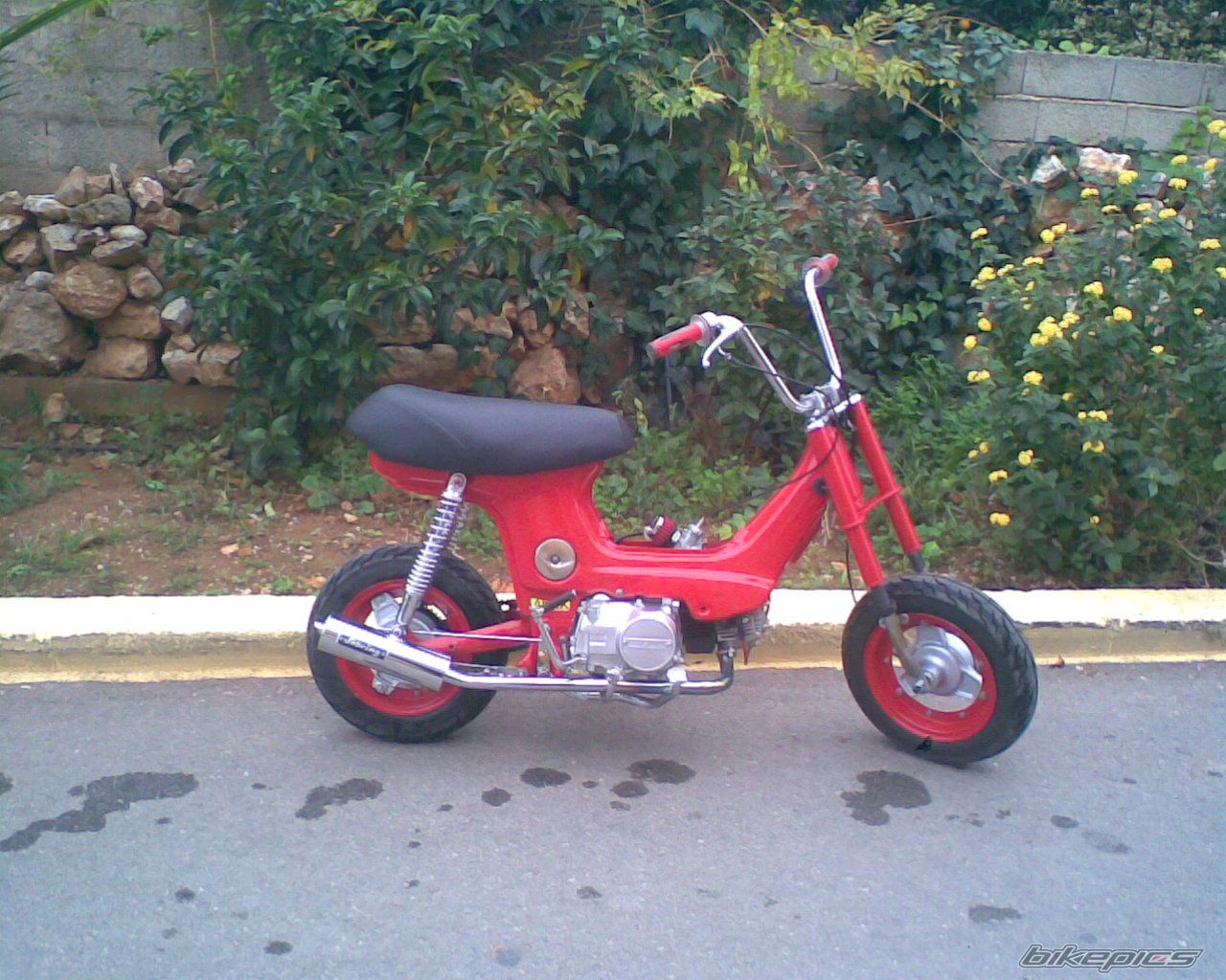 Bike Photo 1184066