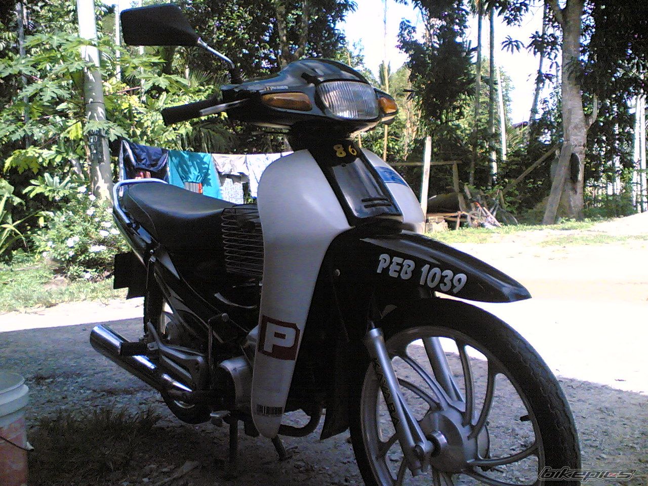 Photo 1184094