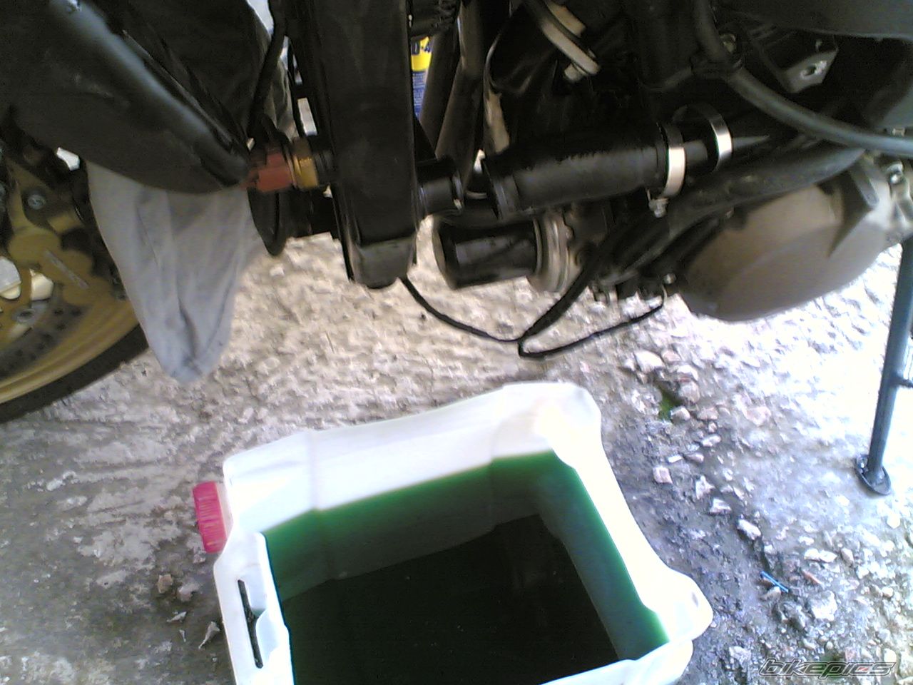 Bike Photo 1184257