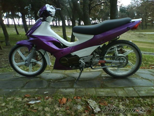 Photo 1184323
