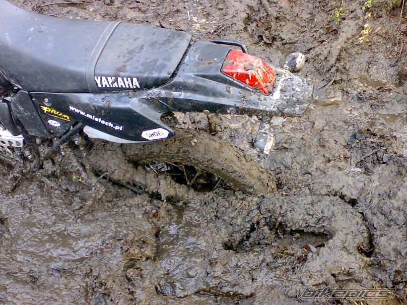 Bike Photo 1184384