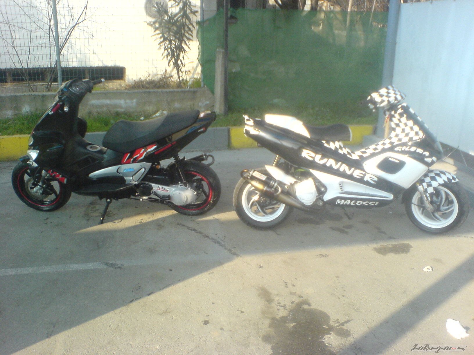 Photo 1184446