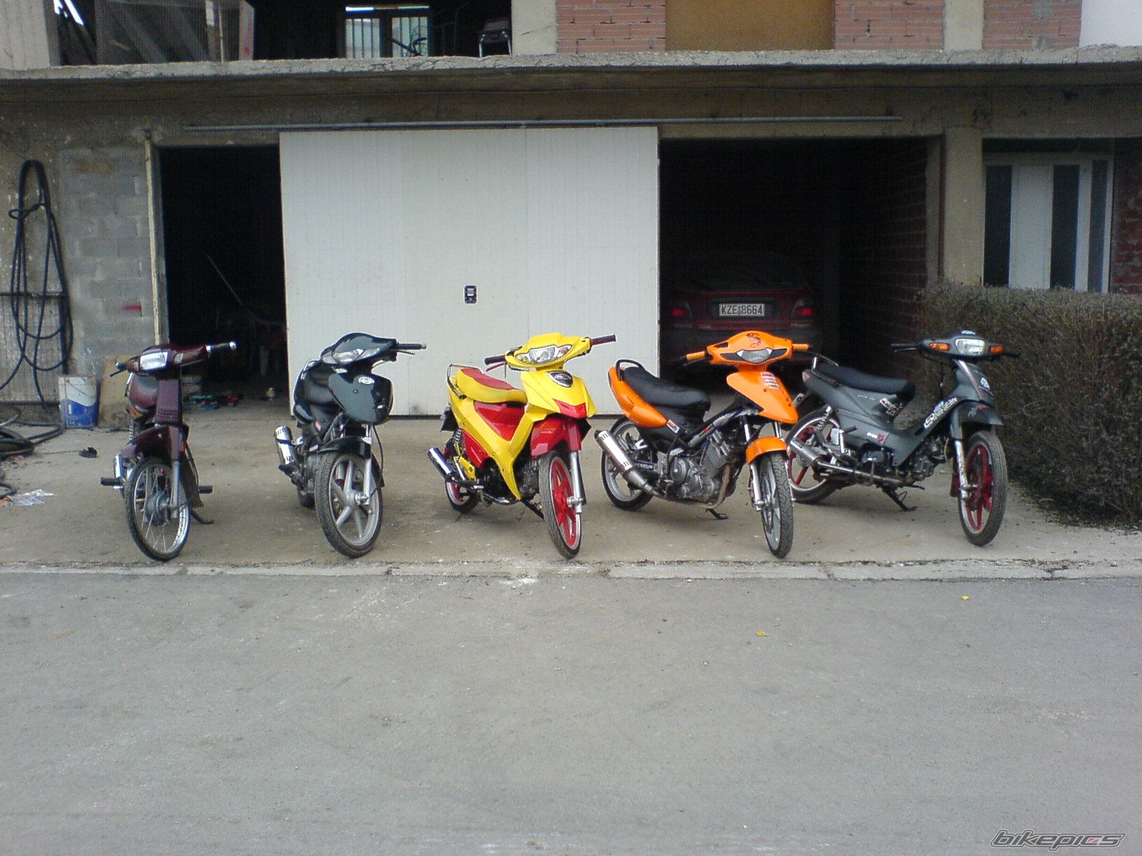 Photo 1184462