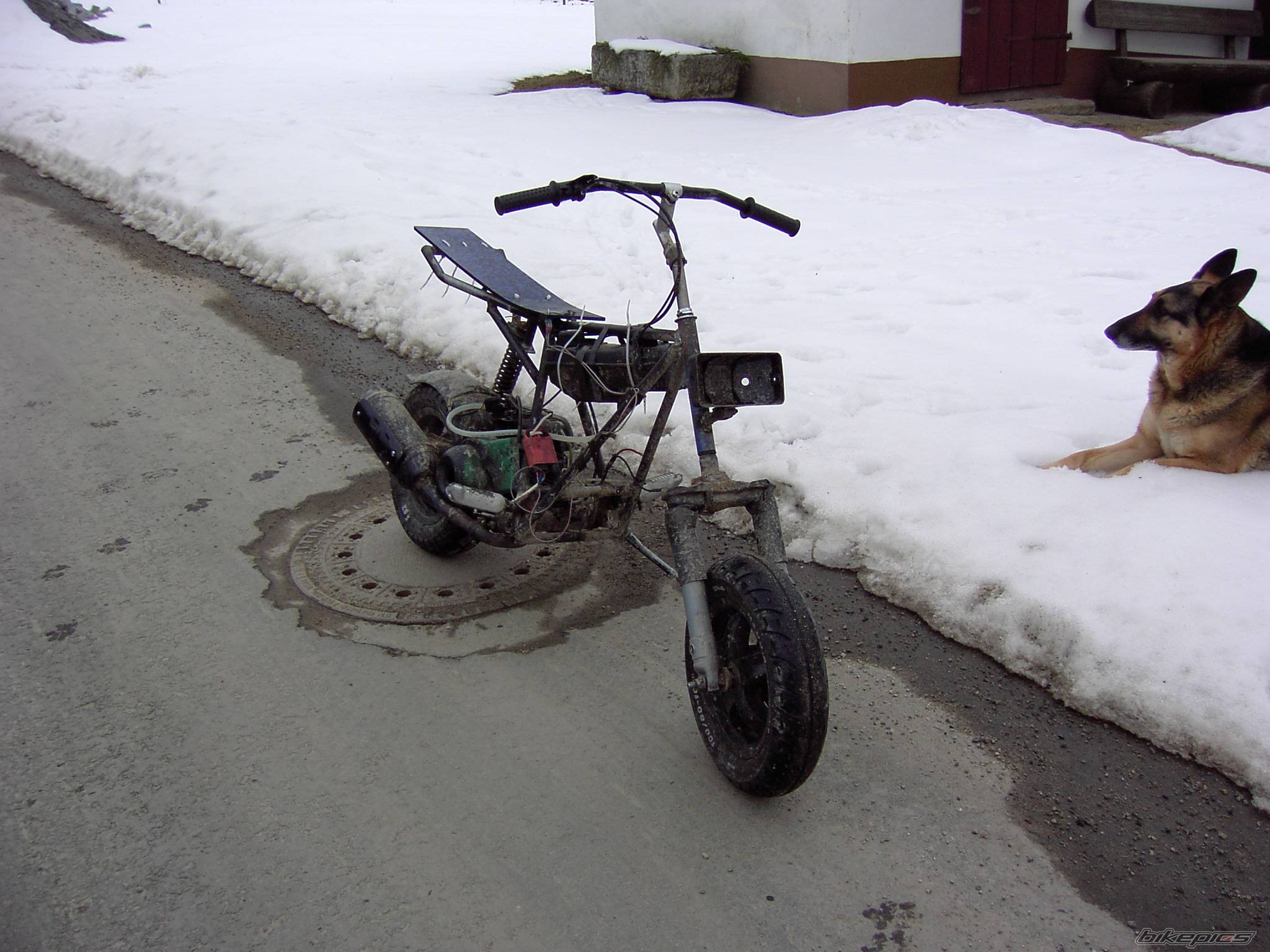 Photo 118462