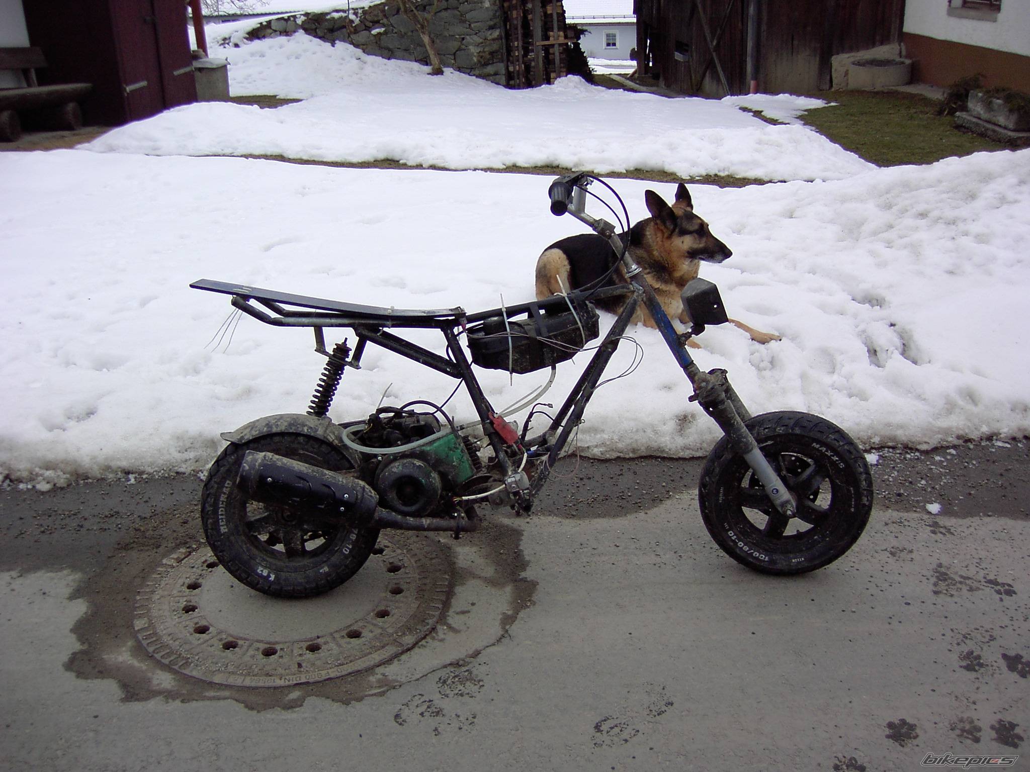 Photo 118464