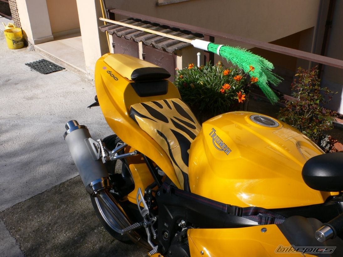 Photo 1184908