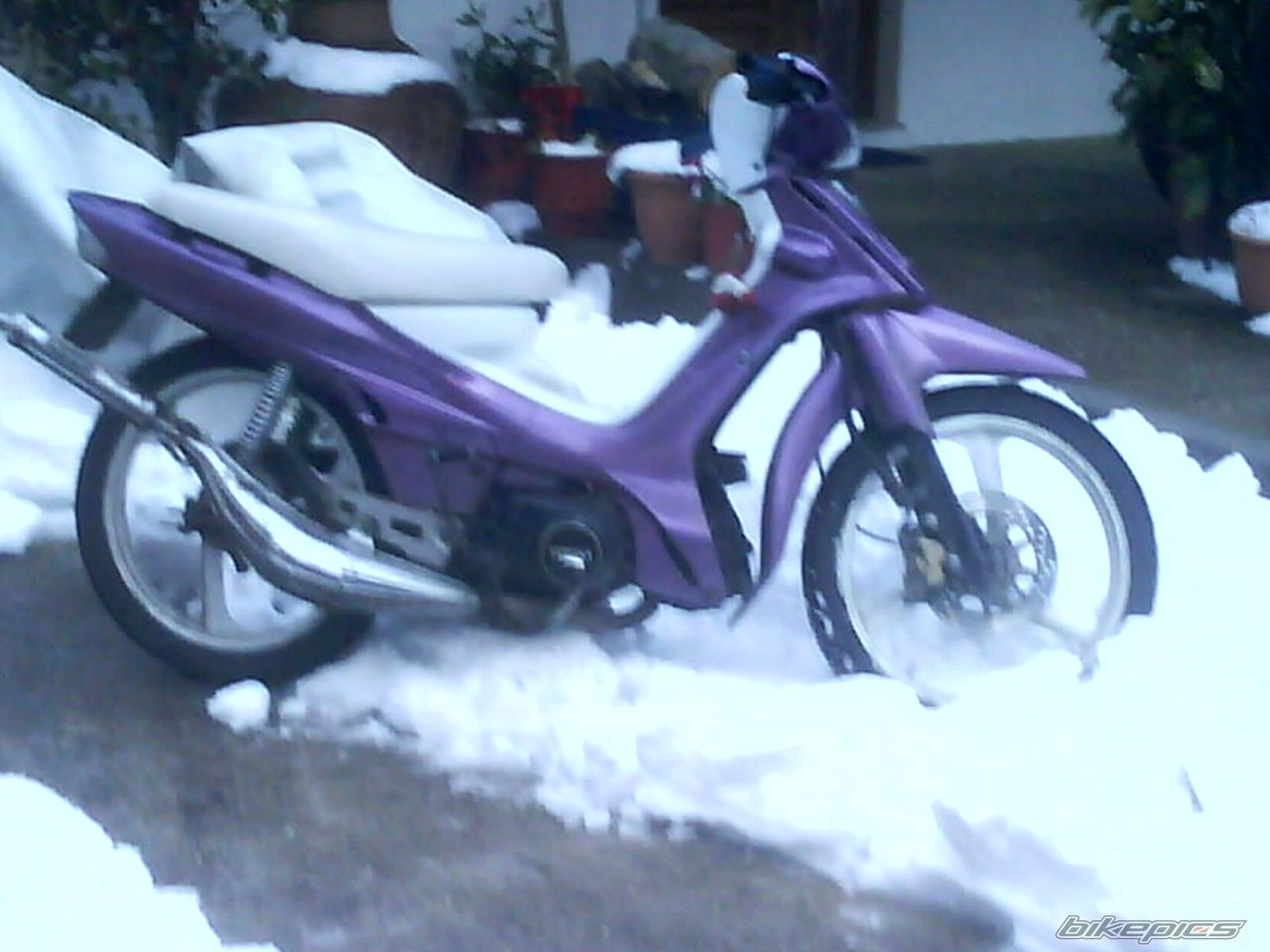 Photo 1185029