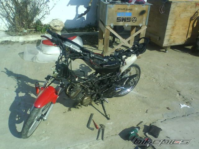 Photo 1185065
