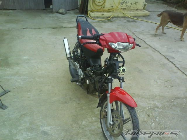 Photo 1185068