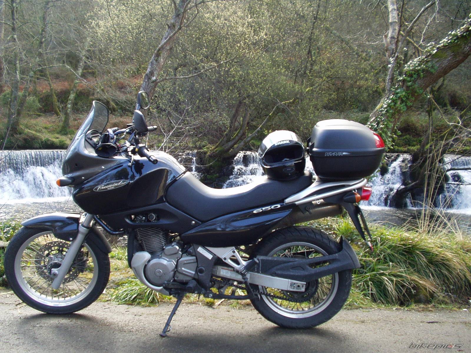 Photo 118512