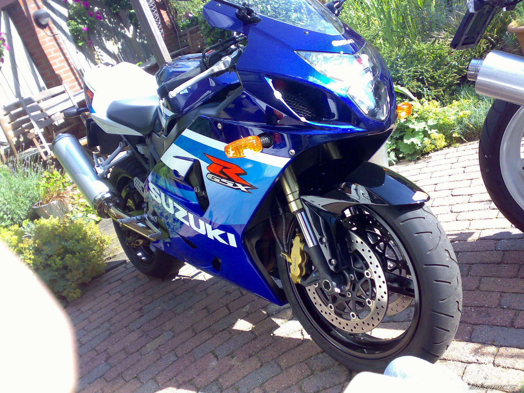 Bike Photo 1185269