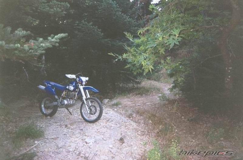 Photo 118529