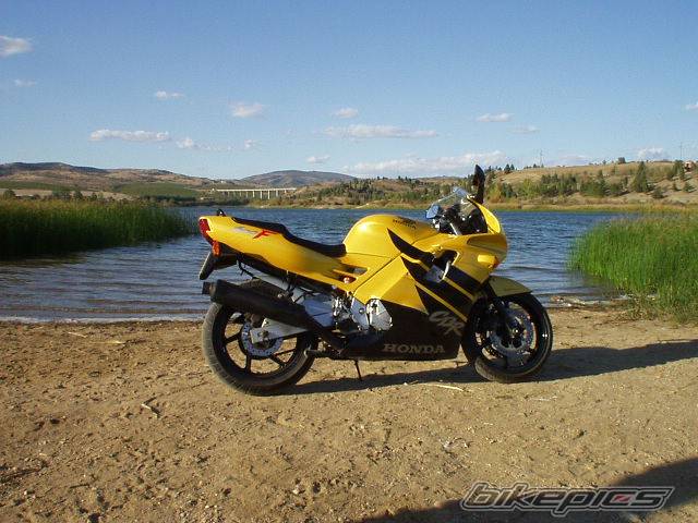 Bike Photo 11854