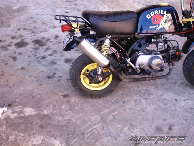 Photo 118549