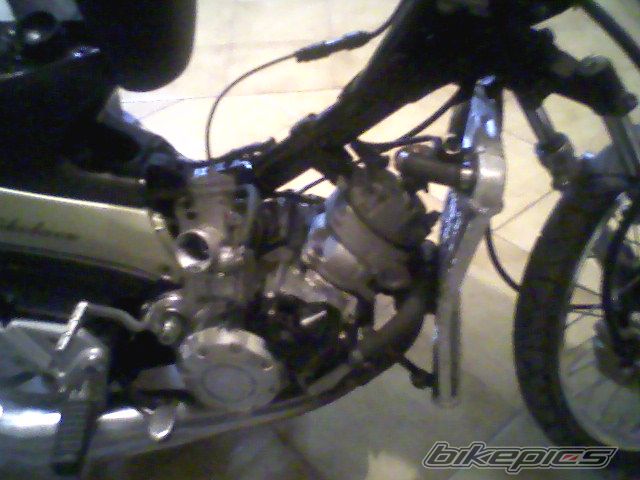 Photo 1185649