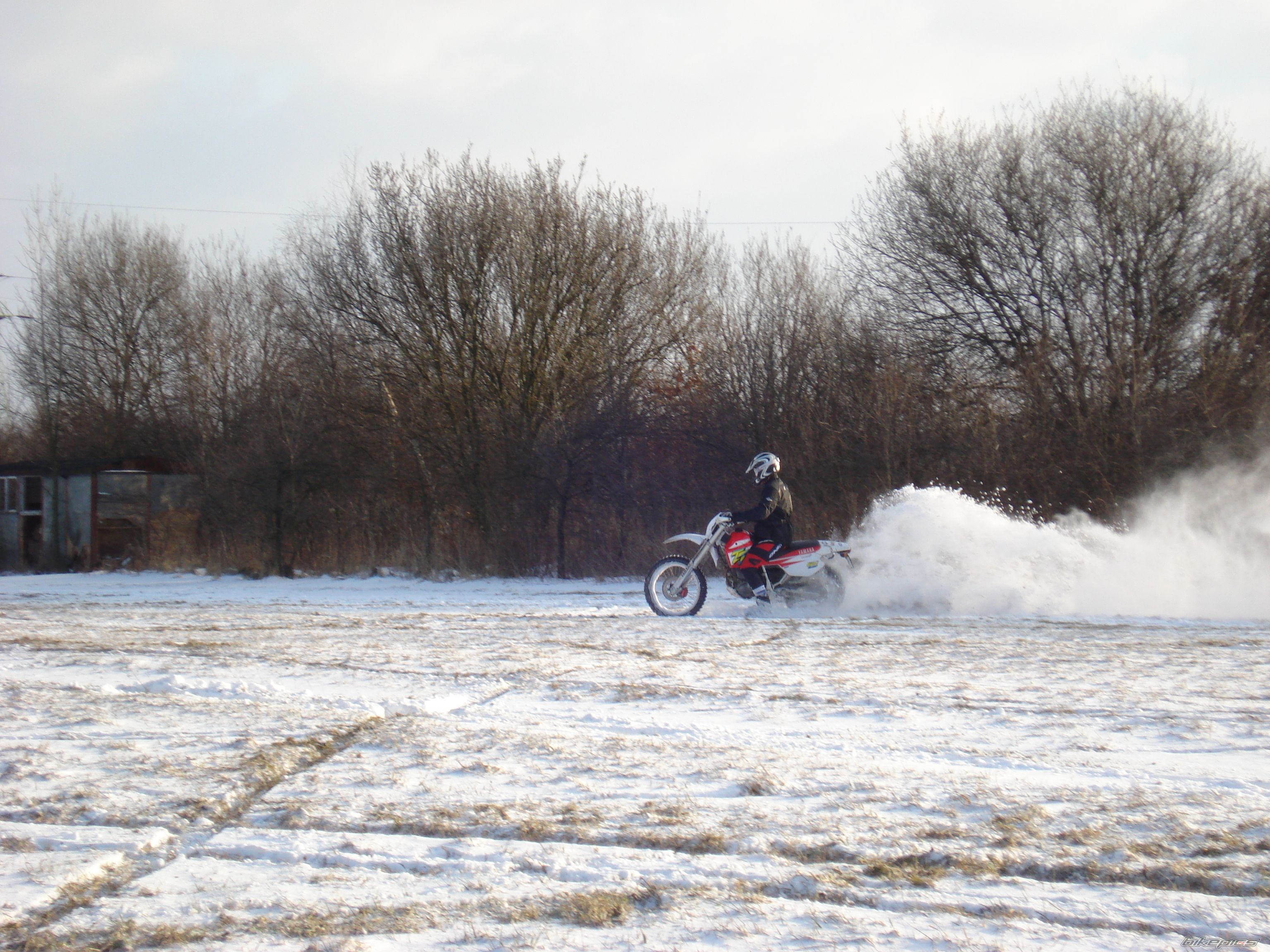 Bike Photo 1186330