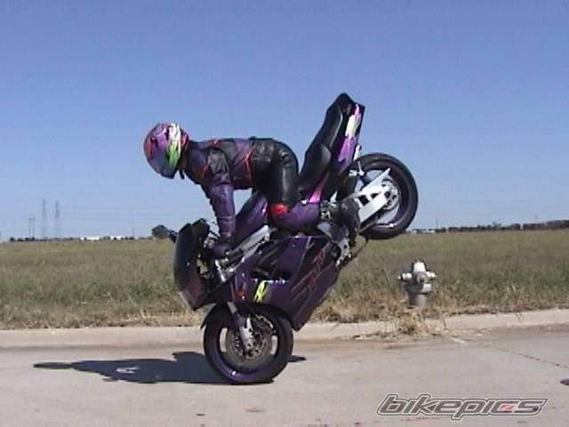 Photo 11866