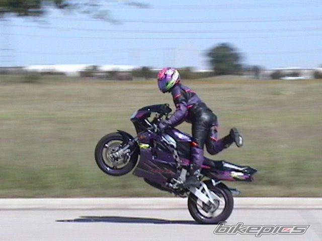 Photo 11868