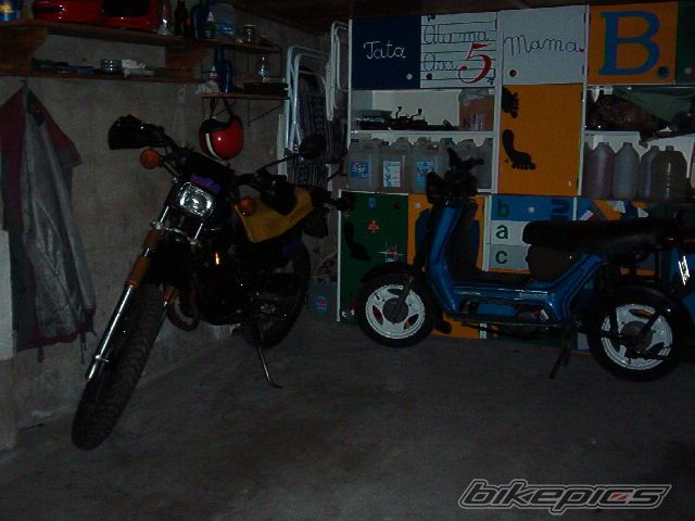 Photo 1187010