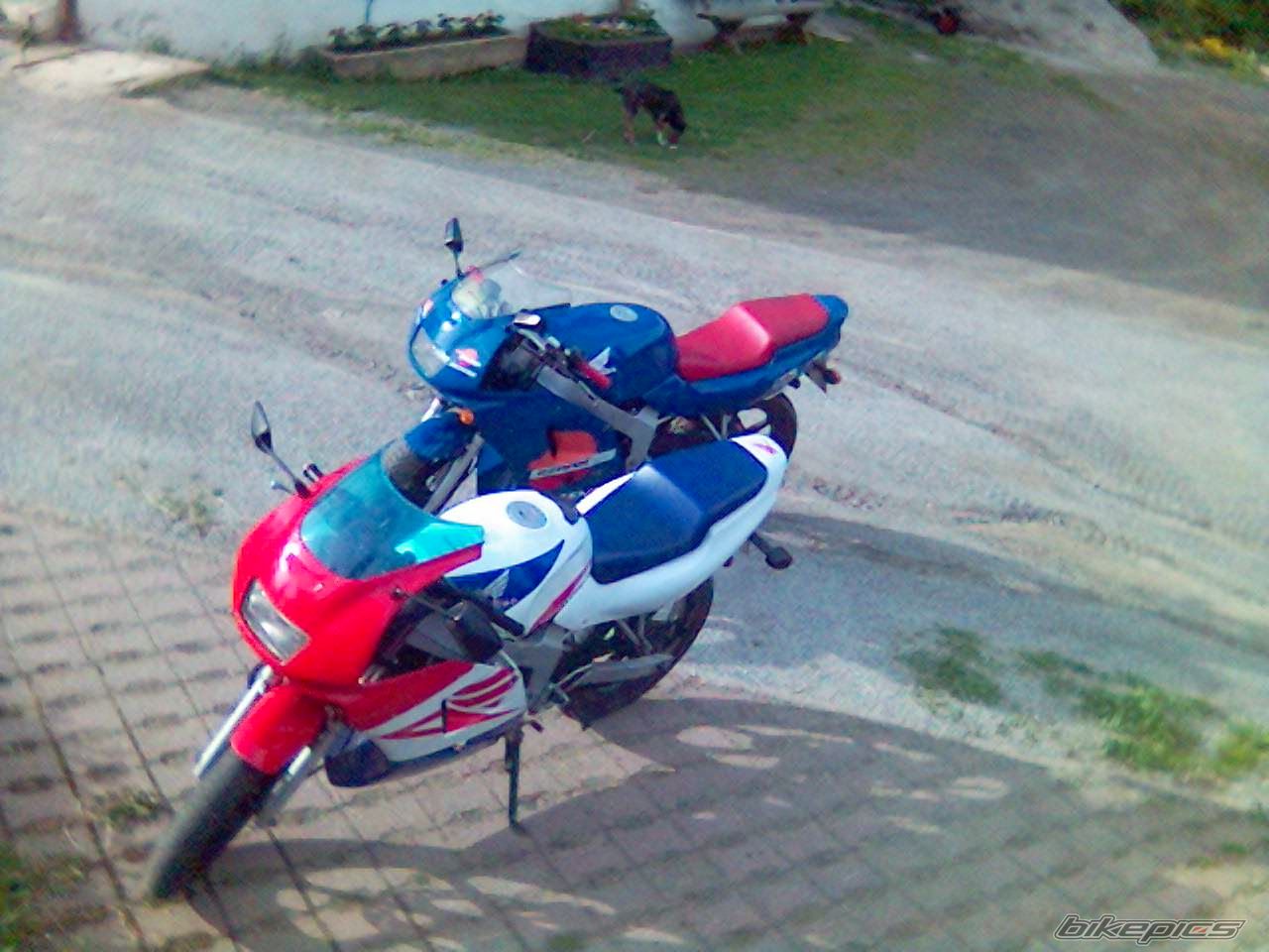 Photo 1187205