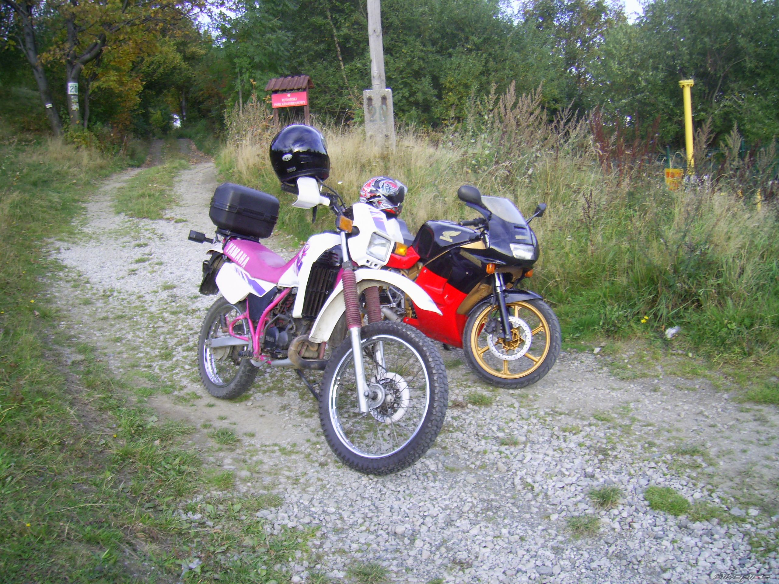 Photo 1187228
